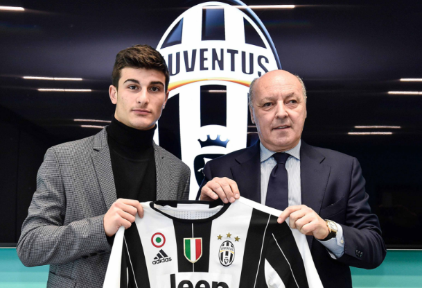 的高大中卫 的高大中卫